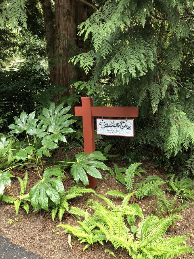 Apartamento Studioone Pebble Beach Powell River Exterior foto