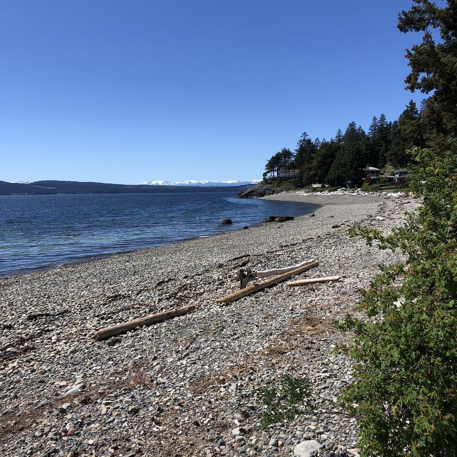 Apartamento Studioone Pebble Beach Powell River Exterior foto